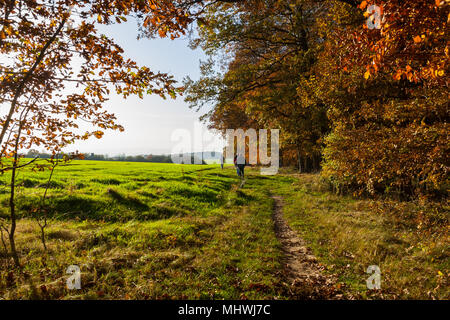 Senior paar Spaziergänge durch die sonnigen Wald im Herbst Stockfoto