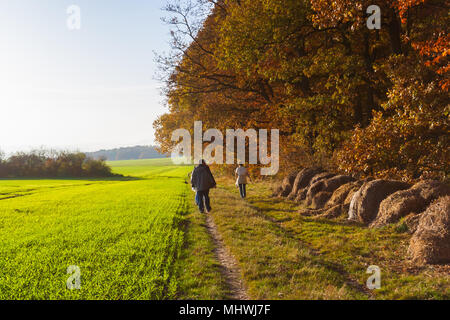 Senior paar Spaziergänge durch die sonnigen Wald im Herbst Stockfoto