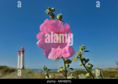 Der Leuchtturm in Ile d'Aix, an der Atlantikküste Frankreichs, Europa Stockfoto