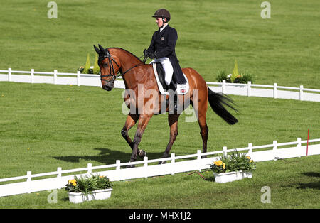 Tom McEwen mit Toledo De Kerser bei Tag zwei der Mitsubishi Motors Badminton Horse Trials im Badminton, Gloucestershire. Stockfoto