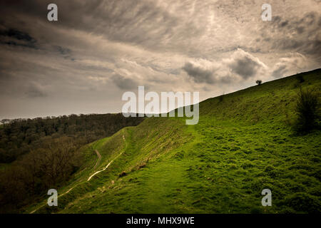 Hambledon Hill Iron Age Hill Fort in der Nähe von Blandford Forum in Dorset, Großbritannien Stockfoto