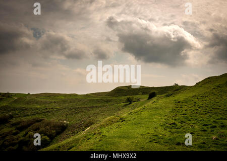 Hambledon Hill Iron Age Hill Fort in der Nähe von Blandford Forum in Dorset, Großbritannien Stockfoto