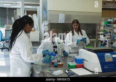 Wissenschaftler Experimentieren im Labor Stockfoto