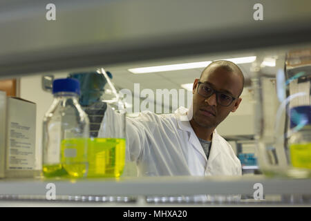 Wissenschaftler die Kontrolle einer Lösung in Erlenmeyerkolben Stockfoto