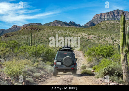 Offroad fahren in Mexico Baja California Landschaft schöne Farben panorama Wüste Straße Stockfoto