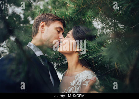 Neu angetrauten Paar zärtlich küssen zwischen Fichten Stockfoto