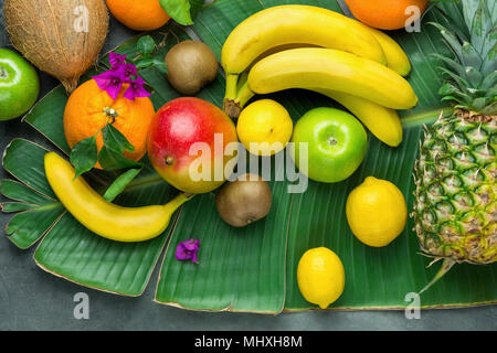 Sortiment Vielfalt von tropischen saisonalen Sommer Früchte Ananas Mango Orangen Zitronen Kiwi Kokos Bananen auf große Palm Leaf auf dunklem Stein Hintergrund. Stockfoto