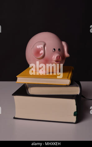 Sparschwein auf Bücher, Kosten für Ausbildung Stockfoto