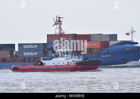 Pachuca für Rumpf King George Dock mit SMS Schleppdienste tug Welshman in Anwesenheit gebunden Stockfoto