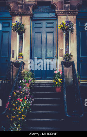 Blue Glasgow Tenement Tür mit Frühling Blumen Stockfoto