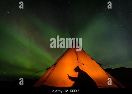 Camper lesen im Zelt, Aurora Borealis im Hintergrund, Narsaq, Vestgronland, Grönland Stockfoto