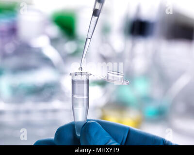 Pipettieren Wissenschaftler Probe in Durchstechflasche für Labor experiment Stockfoto