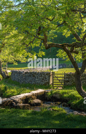 Malham Cove Malham Craven North Yorkshire England Stockfoto