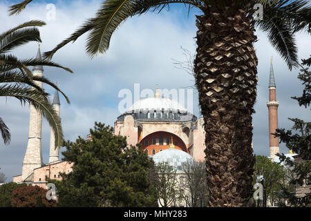 Antike byzantinische Architektur Hagia Sofia. Ehemals eine christliche Kirche, eine Moschee und ein Museum hinter den Palmen in Istanbul, Türkei Stockfoto