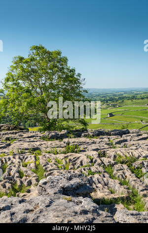 Malham Cove Malham Craven North Yorkshire England Stockfoto