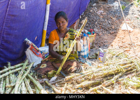 PUDUCHERY, PONDICHERY, Tamil Nadu, Indien - März circa, 2018. Nicht identifizierte Frau schneiden Vorbereiten einer Zuckerrohr vor der Extraktion Stockfoto