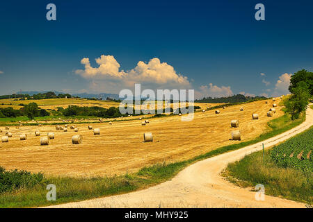 Heuballen auf abgeernteten Feld in der italienischen Landschaft Stockfoto