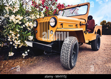 BODRUM, Türkei, AUG-2017: Nahaufnahme einer erneuerten Willy's Jeep geparkt auf einem Feldweg in der Nähe von Oleander Blumen Stockfoto