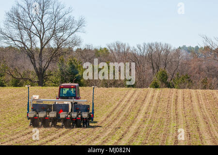 Ein mais Pflanzmaschine weg von der Kamera Pflanzen keine - bis Mais in eine Heu Feld. Stockfoto