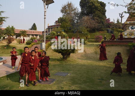Kapan, Nepal - 23. März 2018: Kleine Mönche spielen im Garten von kapan Kloster Stockfoto