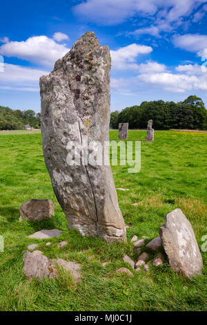 Cup markierte Steine bei Nether Largie prähistorische Stätte Kilmartin Glen in der Nähe von Kintyre, Argyll und Bute, Schottland, Großbritannien Stockfoto