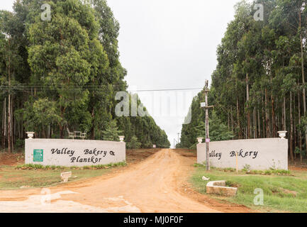 MONKS COWL, SÜDAFRIKA - 18. MÄRZ 2018: Der Eingang zum Tal Bäckerei und Plantkor in der Nähe von Monks Cowl in der Kwazulu-Natal Drakensberg Stockfoto