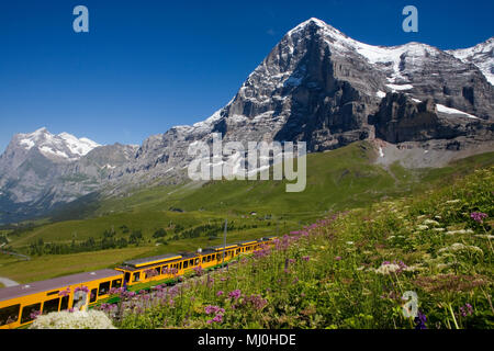 Der Eiger und seine berüchtigten North Face (Eiger Nordwand) von Kleine Scheidegg mit der Wengernalpbahn Bahn von Grindelwald, Schweiz Stockfoto