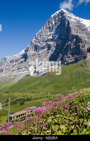 Der Eiger und seine berüchtigten North Face (Eiger Nordwand) von Kleine Scheidegg mit der Wengernalpbahn Bahn von Grindelwald, Schweiz Stockfoto