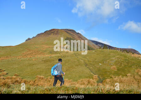 Wanderer zu Fuß Gipfel des Mynydd Mawr in der Nähe von rhyd Du, Snowdonia zu Stockfoto