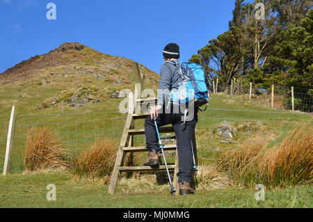 Wanderer zu Fuß Gipfel des Mynydd Mawr in der Nähe von rhyd Du, Snowdonia zu Stockfoto