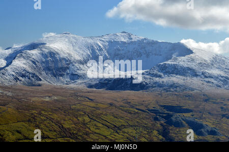 Spaziergang und Blick bis zum Gipfel des Mynydd Mawr in der Nähe von rhyd Du, Snowdonia Stockfoto