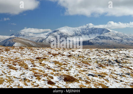 Spaziergang und Blick bis zum Gipfel des Mynydd Mawr in der Nähe von rhyd Du, Snowdonia Stockfoto