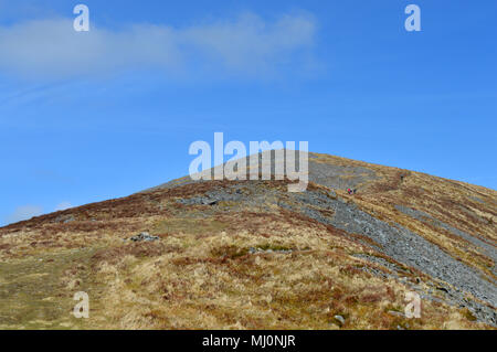 Spaziergang und Blick bis zum Gipfel des Mynydd Mawr in der Nähe von rhyd Du, Snowdonia Stockfoto