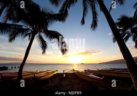 Outrigger Kanus am Strand in Kihei, Maui, Hawaii. Stockfoto