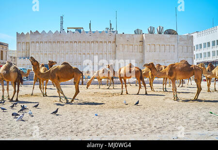 Das Gebiet von Camel Pen, in der Altstadt, neben dem Souq Waqif, Doha, Qatar. Stockfoto