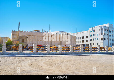 Der kamelmarkt ist in historischen Souq Waqif Bezirk, Tiere zu Fuß am Sandstrand, mit Zaun, Doha, Qatar getrennt. Stockfoto