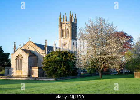 Cherry Tree Blossom und Allerheiligen Kirche in der Morgensonne. Churchill, Oxfordshire, England Stockfoto