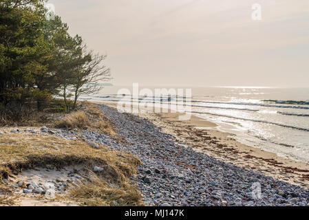 Boda Küste Östliche Naturschutzgebiet auf Oland, Schweden. Dunst auf der sonnenbeschienenen Sandstrand an einem schönen Frühlingsmorgen. Stockfoto