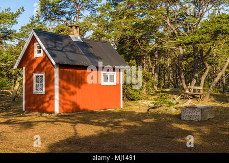 Boda Küste Östliche Naturschutzgebiet auf Oland, Schweden. Kleine Infrarotkabine unter Pinien im Küstenwald. Morgen Sonnenlicht schlagen der Gebäude zw. Stockfoto