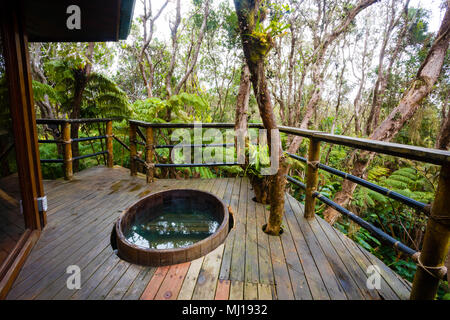 Hawaii Regenwald Treehouse Detail Stockfoto