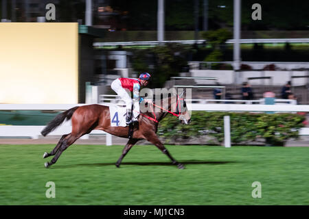 Ein reinrassiges Pferd geritten von Jockey. Nacht Pferderennen in Happy Valley Race Course. China, Hongkong. Verschwommene Bewegung. Stockfoto