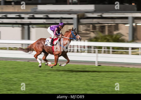 Ein reinrassiges Pferd geritten von Jockey. Nacht Pferderennen in Happy Valley Race Course. China, Hongkong. Verschwommene Bewegung. Stockfoto