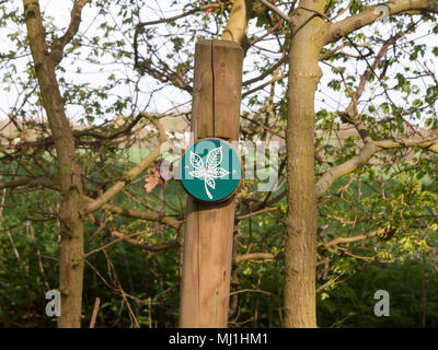 Nahaufnahme, grünen und weißen Blatt Holzschild auf post Details, Essex, England, Großbritannien Stockfoto