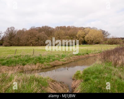 White farm house Cottage Villa weit ab der Trail bridge Land, Umwelt, Natur, Essex, England, Großbritannien Stockfoto