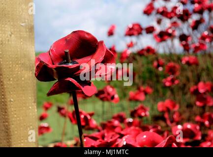 Keramik Poppy Wave Tour 2018 13. April - 24. Juni 2018 in Fort Nelson, Fareham, Hampshire UK Stockfoto