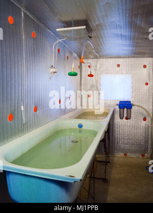 Ein Zimmer für die Aufzucht von Jungfischen. Badewanne für die Brj. Ein Fisch - Gärtnerei Stockfoto