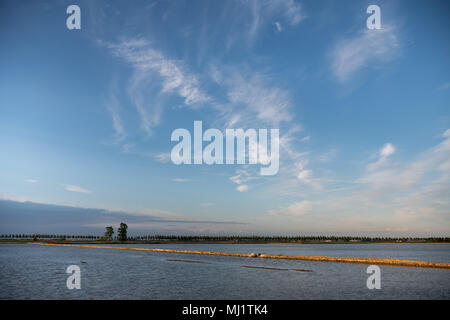 Aufteilung der überfluteten Reisfeldern in Piemont, Italien bei Sonnenuntergang Stockfoto
