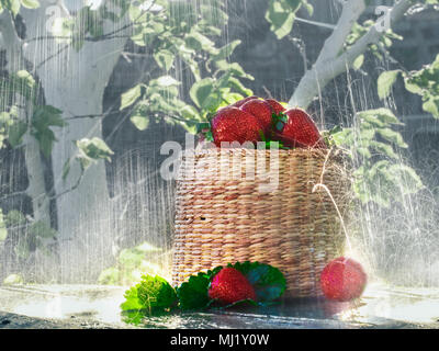 Regen auf einen Korb gefüllt mit Erdbeeren Horizont Stockfoto