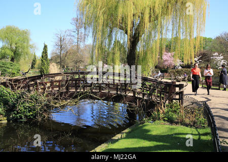 Brücke über den See in der Frühlingssonne im Queen Mary's Gärten, im Regents Park, London, England, Großbritannien Stockfoto