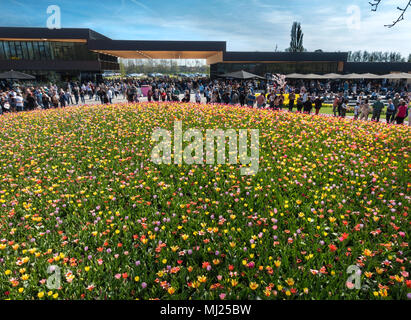 Keukenhof neue Eingangsgebäude mit Massen von Besuchern und bunte Tulpen Gemischt tulip Bett im Frühjahr in der Nähe von Amsterdam Stockfoto